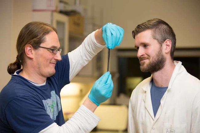G-Putty inks tailored for flexible strain sensors