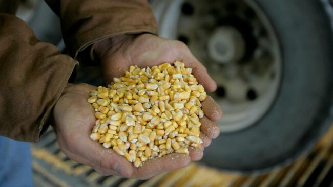American drivers are saving the corn ethanol industry-for now