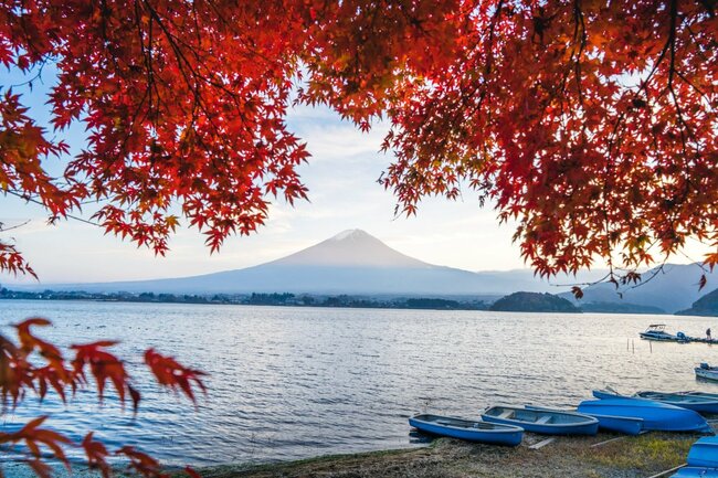 Japan's 2022 autumn leaf projections: Where, when to check out foilage