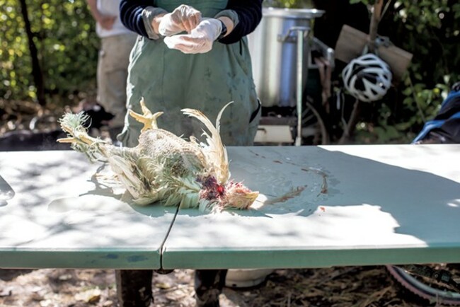 Youths Get Hands-on Experience with Death at Shelburne's New Village Farm