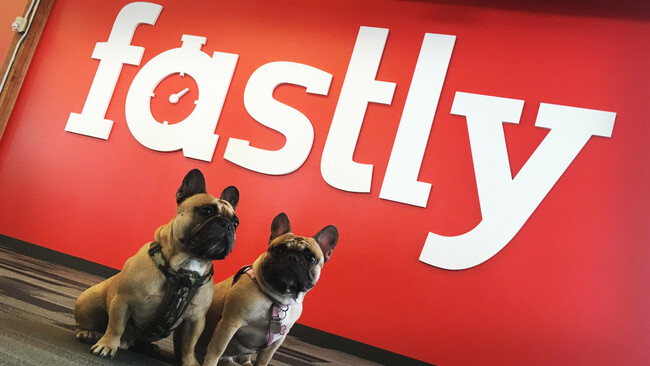 Fastly Plunges After Sales Forecast Miss and Financial Chief Departure