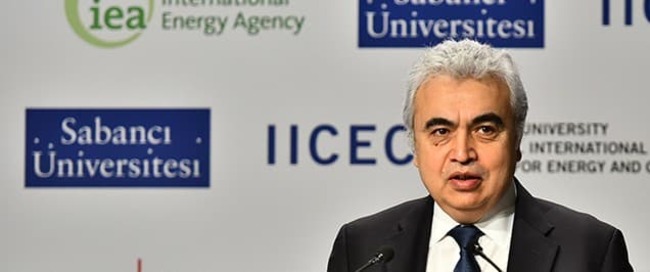 IEA: Governments Should Start Stockpiling Battery Metals