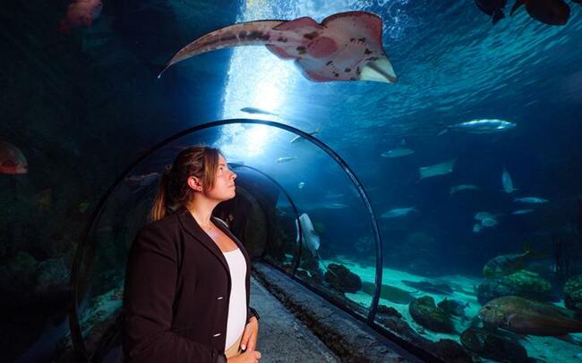 A Landlocked Ocean Lover, Using Business to Save the Sea