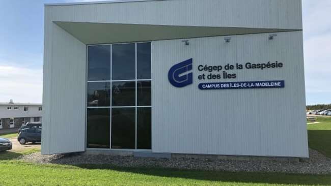 Some Quebec colleges say Ottawa denies 80 to 90 per cent of study permits from Africa