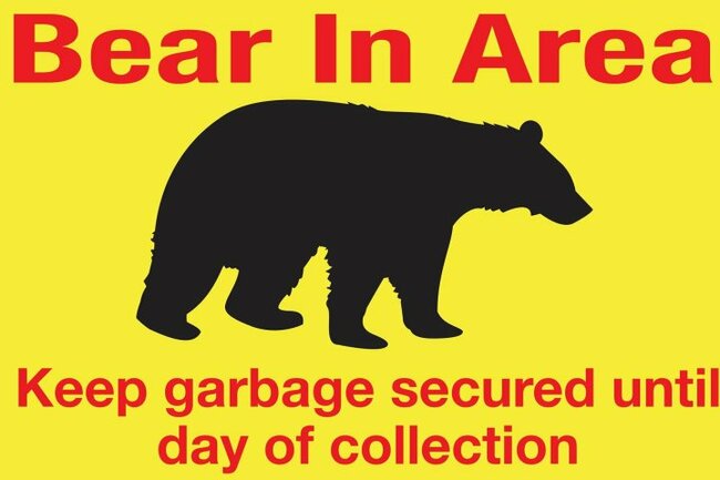 Bear alert in effect for West Kelowna’s Rose Valley neighbourhood