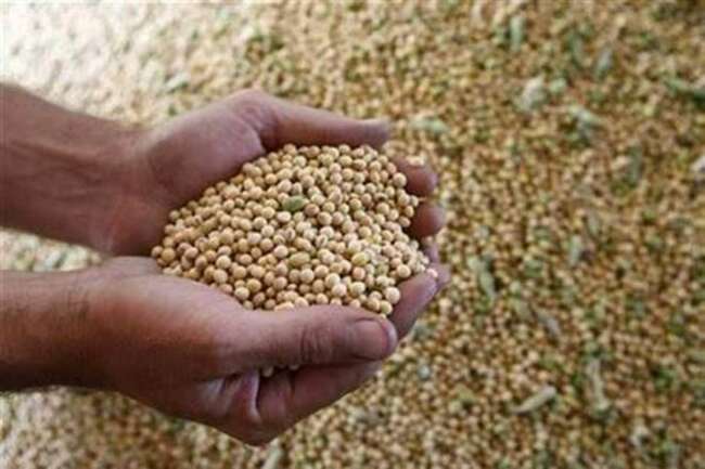 Madhya Pradesh revokes ban on soyabean seed sale outside state