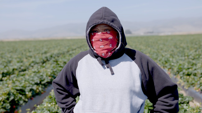 'Fruits of Labor' Review: A Mexican American Family's Struggles in Central California
