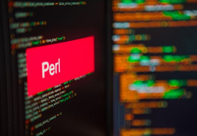 Perl changes dev's permaban for 'unacceptable' behaviour to a year-long lockout after community response