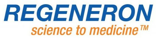 Canaccord Genuity Maintains a Buy Rating on Regeneron (REGN)