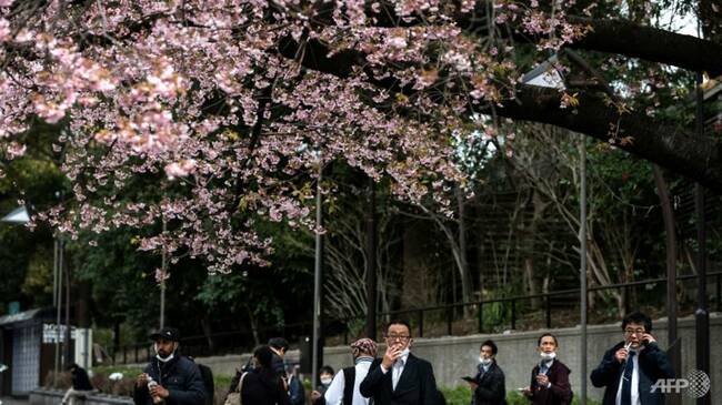 Philip Morris to phase out cigarettes in Japan within decade