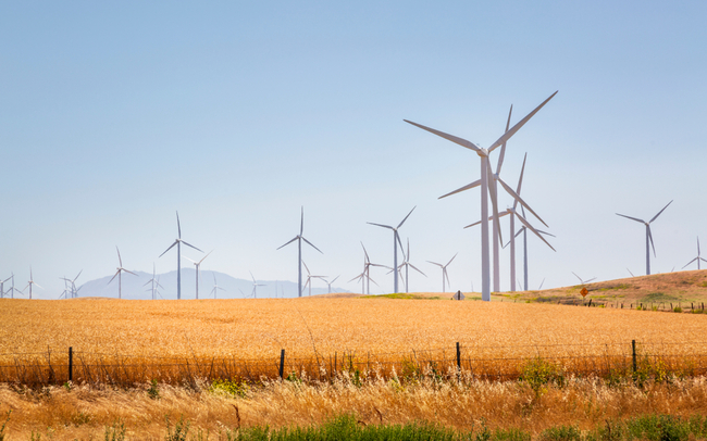 Why the US Is the Top Destination for Renewable Investments