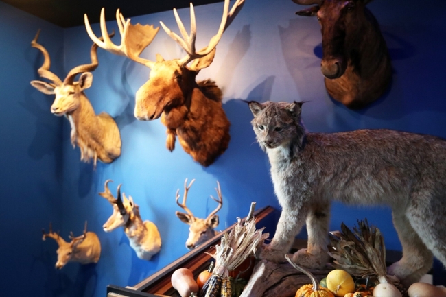 Portland bars lean into the hunting lodge look