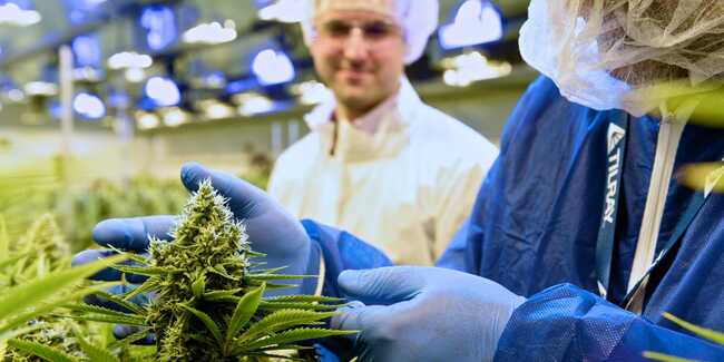 Tilray climbs 10% as the cannabis company gets a double upgrade to 'buy' from Jefferies