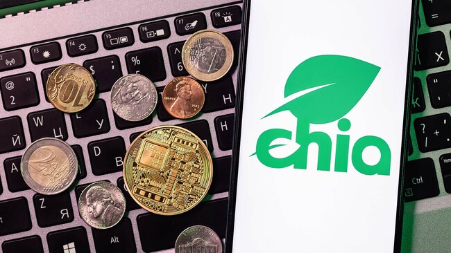 Where to Buy Chia: 4 Ways to Get Your Hands on the Red-Hot XCH Crypto