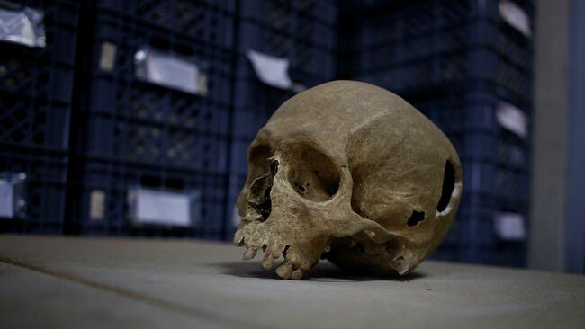 Before burials, what did humans do with our dead?
