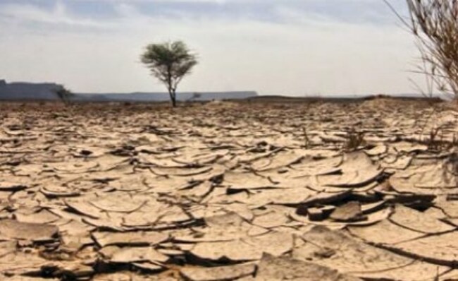 Africa: Africa's Drought Crisis - Zimbabwe Seeks Solutions, Madagascar Edges Toward Famine