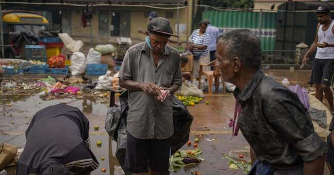 Sri Lanka at Brink of Humanitarian Crisis