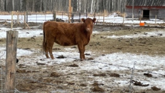 Ranchers unsure about future of industry as many make less than minimum wage