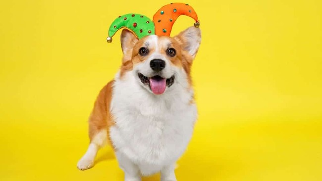 How much is the Helium One share price really worth?