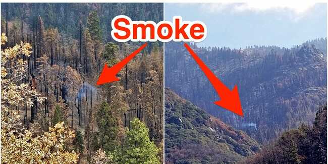 An enormous Sequoia tree is still smoldering and emitting smoke months after California's devastating wildfires