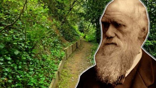 A glimpse of Charles Darwin's 'paradise'
