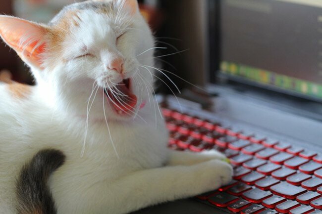 Microsoft unveils Rust for Windows v0.9, with 'full consumption support' for the Windows API