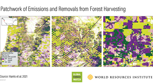 Eco-Facism At Home & Abroad: Got Climate Change? Blame Immigrants!