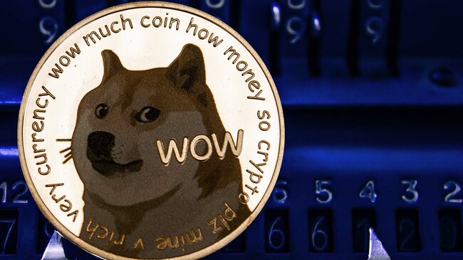 Dogecoin Price Predictions: Where Will Crypto Astronauts Take DOGE Ahead of SpaceX Launch?