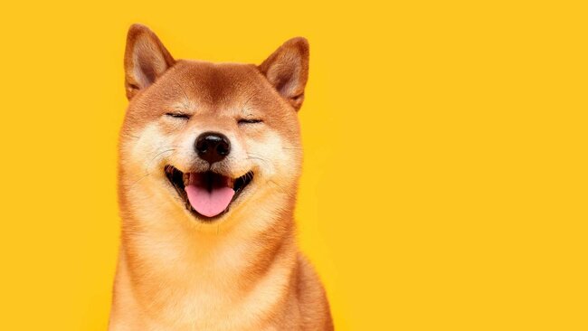 Shiba Inu (SHIB) Crypto: 7 Things to Know About Red-Hot SHIB