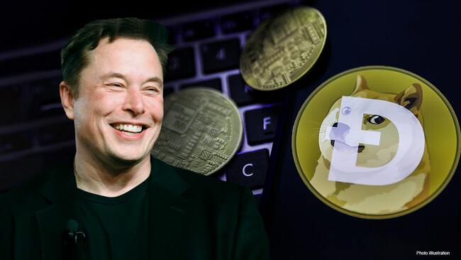 Elon Musk 'SNL' gag backed by crypto expert: Dogecoin 'is a hustle'