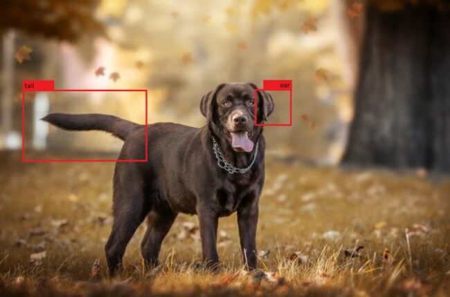 Could NLP Help Machines Fully Understand What They Are Seeing?