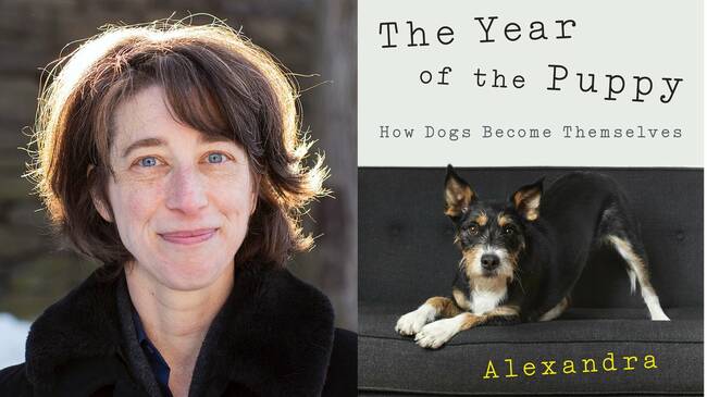 Canine psychologist Alexandra Horowitz on her book 'The Year of the Puppy'