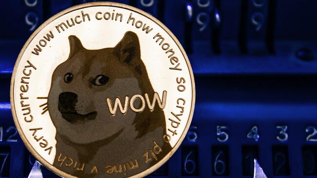 Dogecoin Rises Again as Musk Asks Whether Tesla Should Accept It