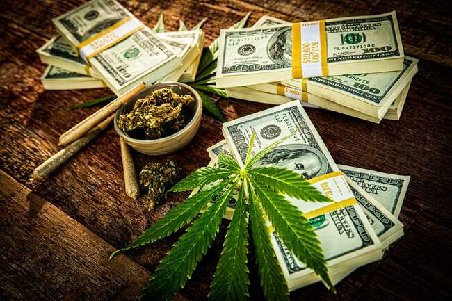 After an Exceptional 2020, Can This Pot Stock Maintain Its Momentum?