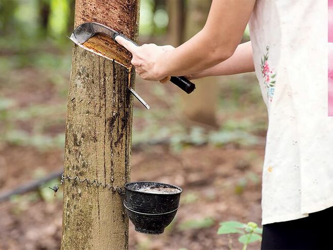 Thai NR tender, COVID-19 resurgence add to April price woes