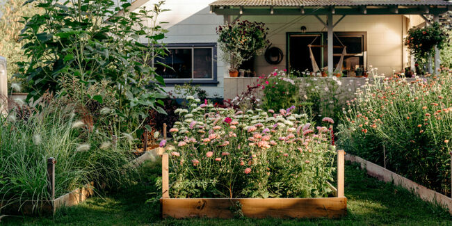 The 9 Garden and Landscaping Trends of 2023 to Know About