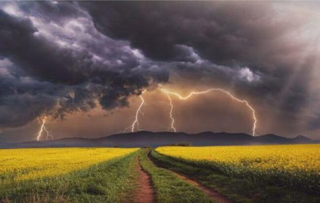 Bovard: Biden's "America The Beautiful" Vision Ignores Feds' Dreadful Record