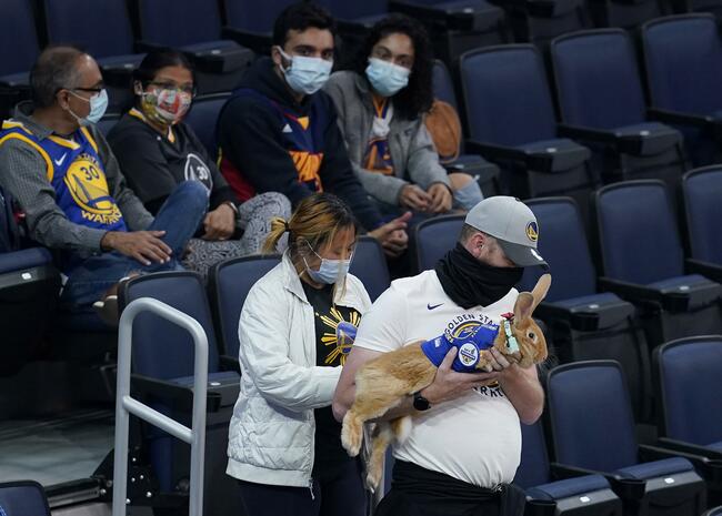Therapy bunny Alex back as lucky rabbit's foot for Warriors