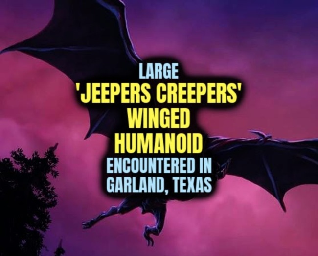 Large 'JEEPERS CREEPERS' WINGED HUMANOID Encountered in Garland, Texas
