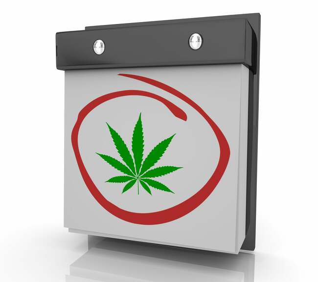 Surprise! Sundial Growers Delivers Positive Adjusted EBITDA in Q1