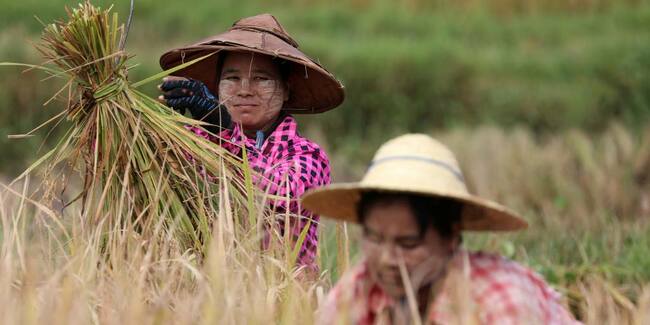 Myanmar coup latest: Rising rice prices add to strain on public