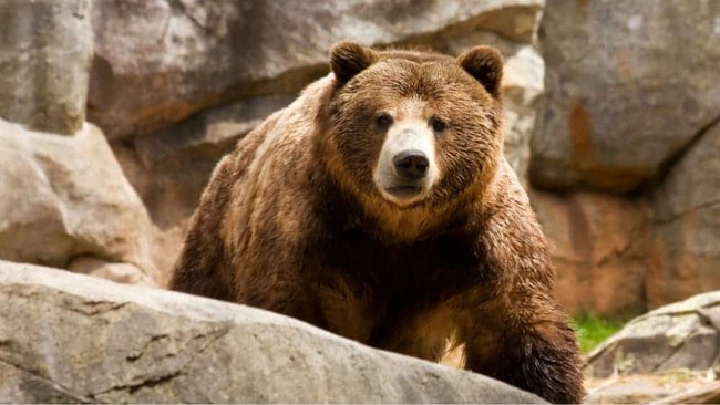4 Reasons a Bear Market Could Be Around the Corner