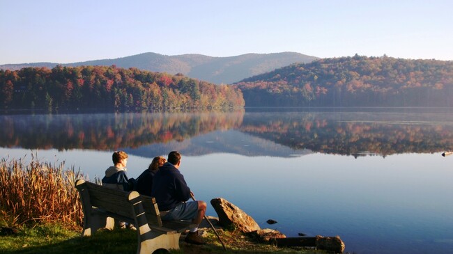 This Is the State Where People Struggle the Most From Student Debt