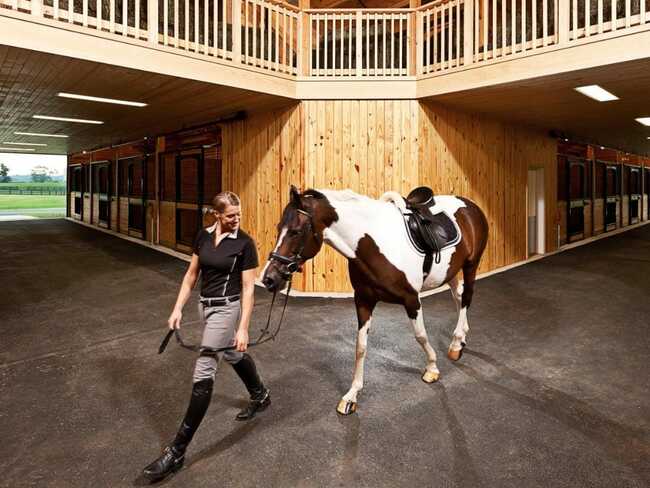 16 incredible US hotels and resorts that will help make up for a year of lost travel