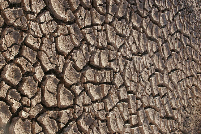 FCC starts probing effects of semiconductor drought on the US telecoms supply chain