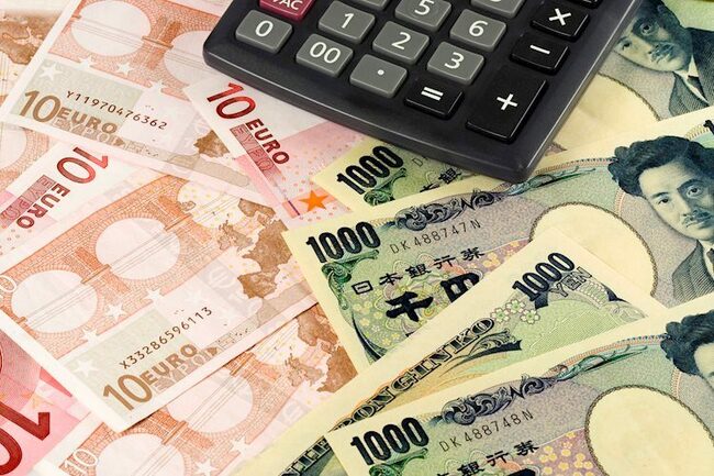EUR/JPY Price Analysis: Next on the upside comes in 133.00