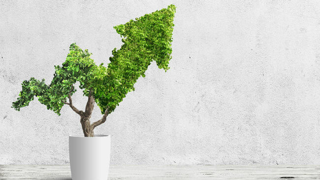 TFSA Investors: Here Are 4 High-Growth Stocks That You Can Buy Right Now