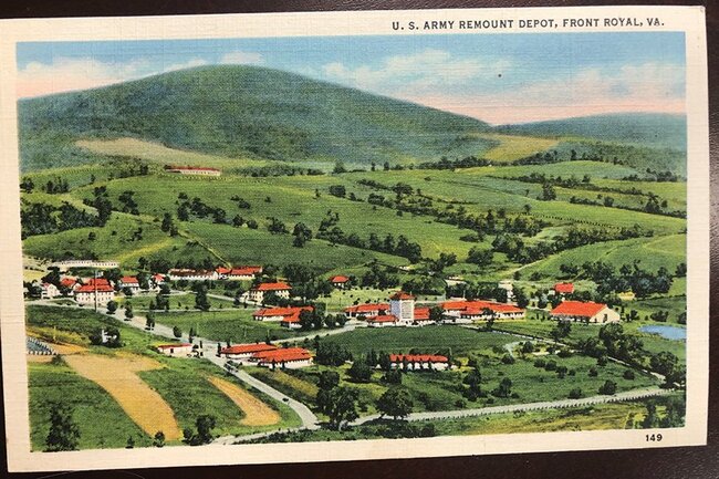 Curios: If Those Hills Could Talk... Secrets of 3,200 Acres in Virginia