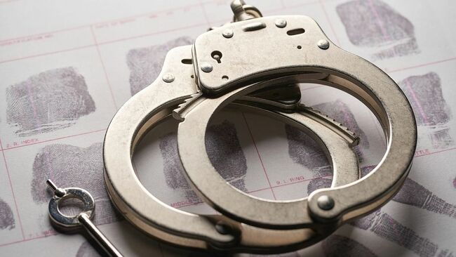 Chhattisgarh: Leader of Opposition Narayan Chandel 's son booked for sexual assault