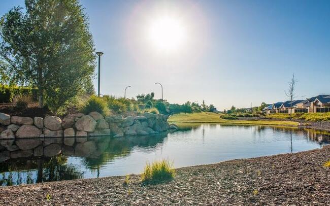 Partner Spotlight: Western Australia's Zenien